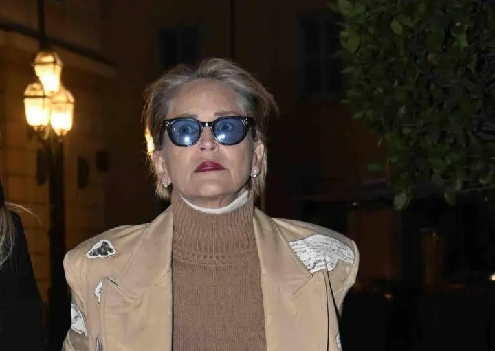 Sharone Stone, la diagnosi e la rottura col marito: 