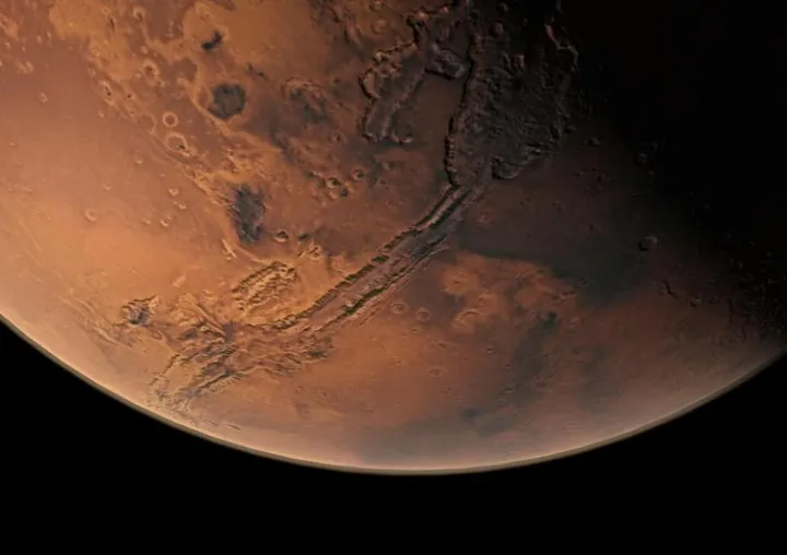Tutti i segreti nella dieta degli astronauti, un'alga dalla Sardegna per conquistare Marte