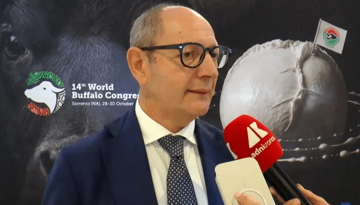 Raimondo (Tutela mozzarella bufala campana Dop): 
